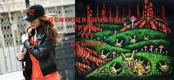 бутират Баксан