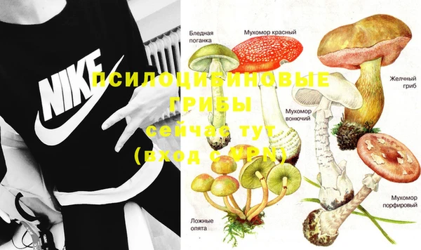 бутират Баксан